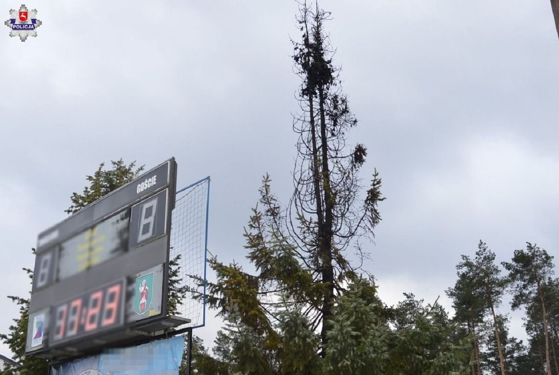 Zamiast topić marzannę, podpaliły drzewo. Dzieci świętowały pierwszy dzień wiosny.