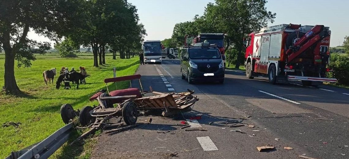 Uderzył oplem w furmankę i uciekł! Konie, woźnica i jego pasażerka potrzebowali pomocy [ZDJĘCIA]