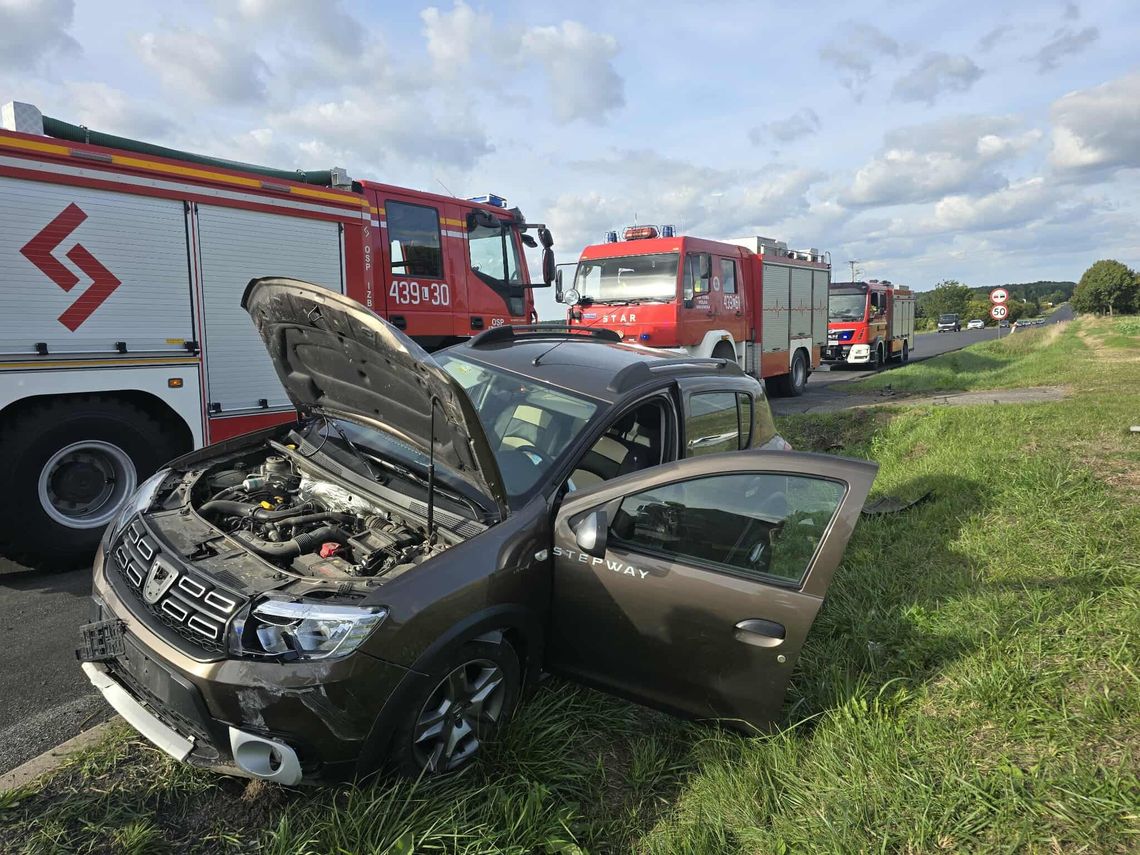 Uderzył w znak na drodze krajowej w Izbicy Uderzył w znak na drodze krajowej w Izbicy