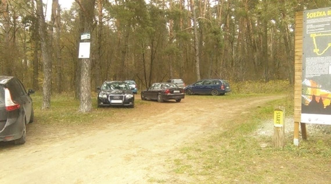 Urządzili sobie leśny parking