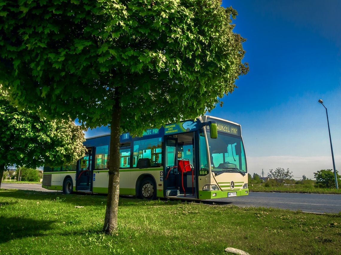W Chełmie autobusem za free