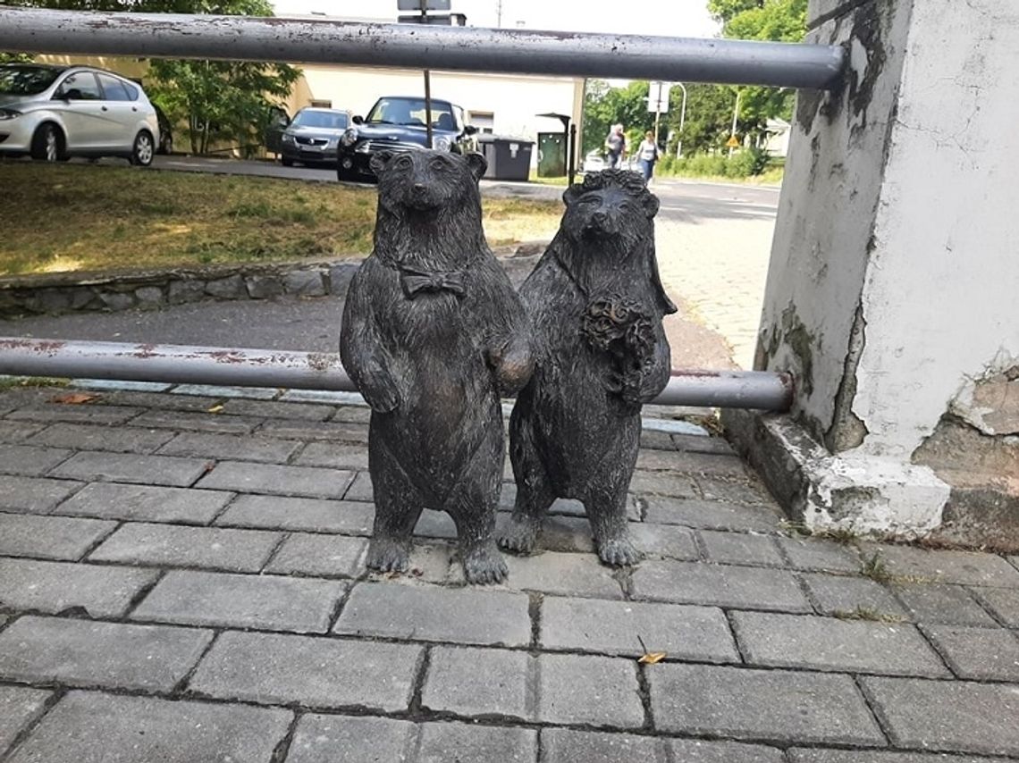 W Chełmie zamieszkają niedźwiedzie