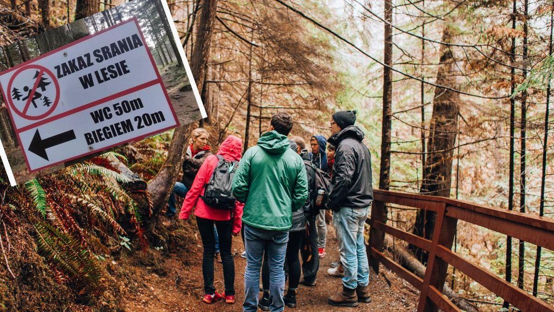 W jednym z lasów pojawił się zaskakujący znak. Zakaz sra...a