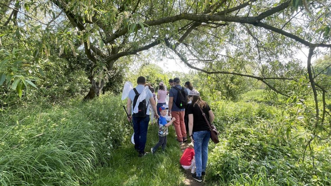 W pogoni za motylami – Cemex i BMLAB: „Poznaj Motyle” chronią cenne gatunki [ZDJĘCIA]