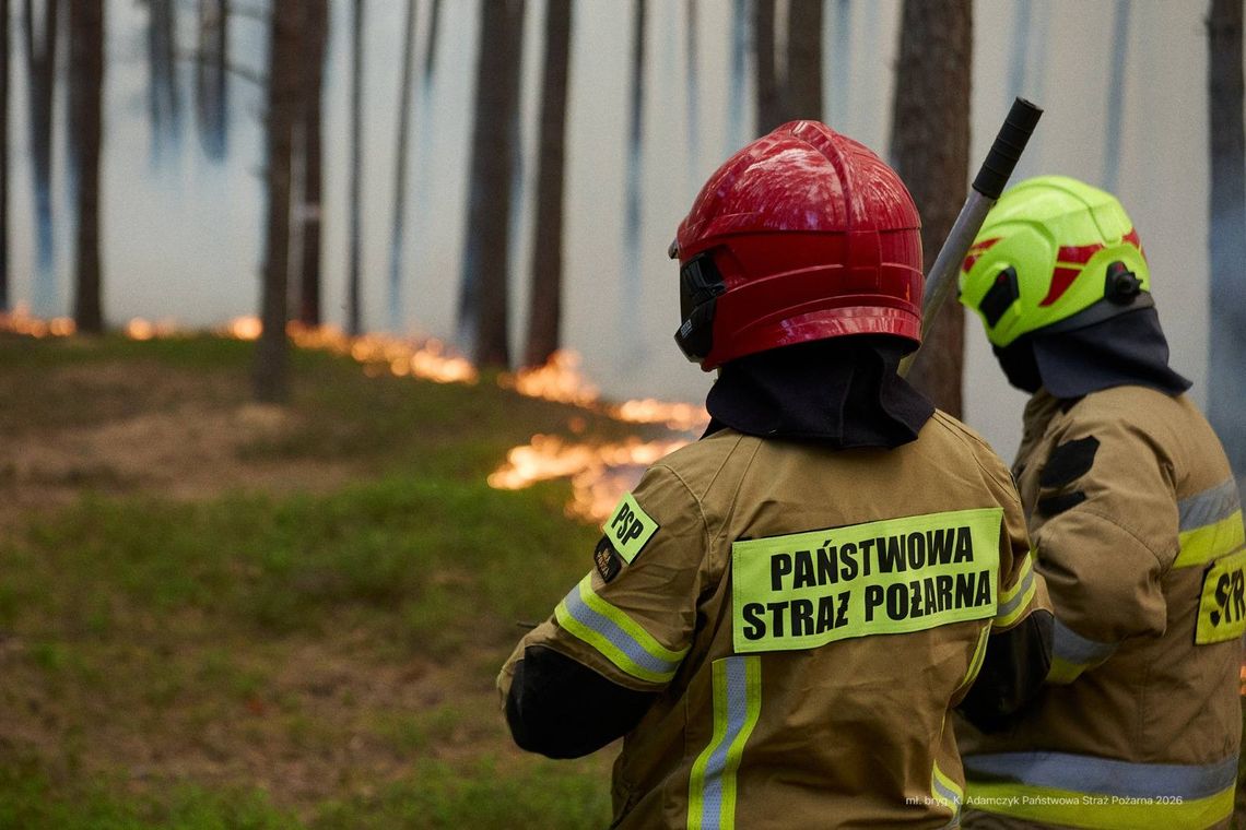 Wielka mobilizacja strażaków – już ponad 30 ratowników z powiatu chełmskiego pojechało do Puszczy Solskiej