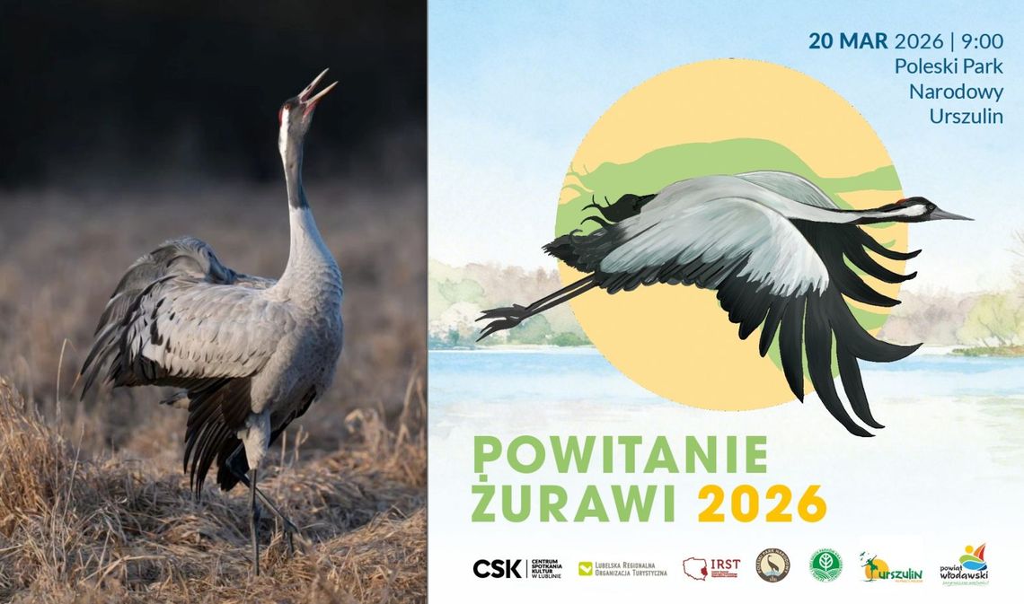 żuraw i plakat wydarzenia