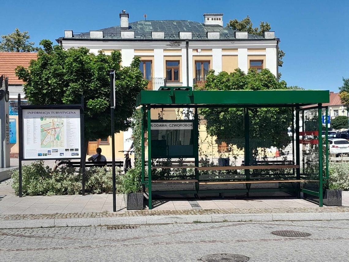 Włodawa. Jest nowa wiata przystankowa. Miała być zielona i jest!