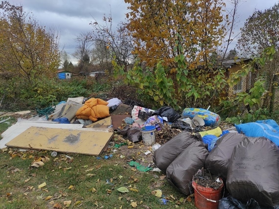 Włodawa: Sterty śmieci przy ogródkach