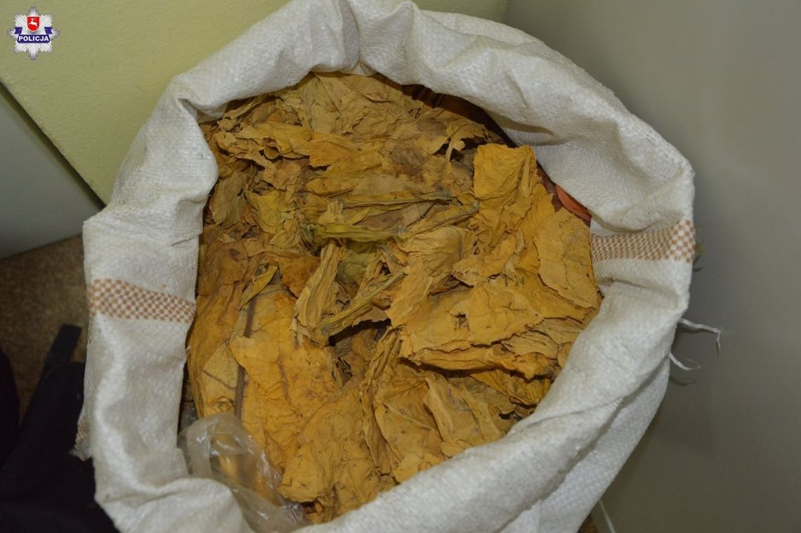 Włodawianka odpowie za blisko 10 kg suszu tytoniowego