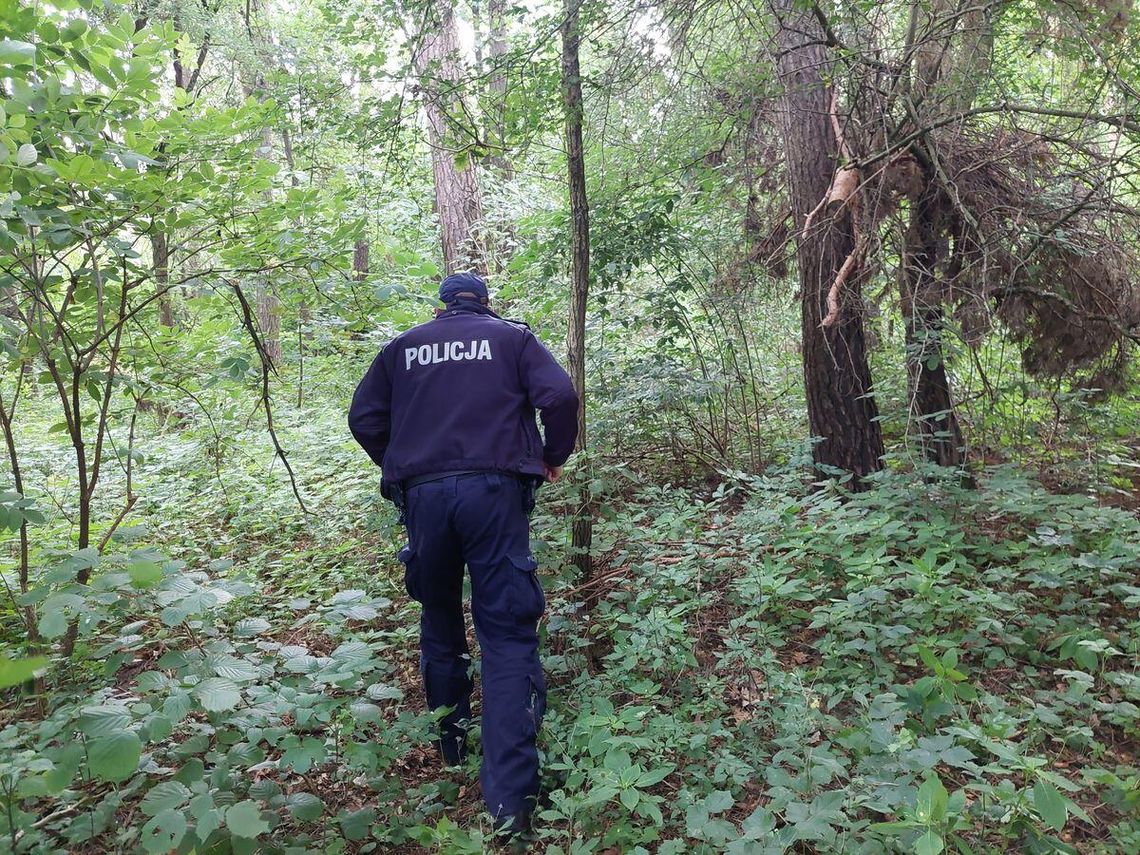 Gm. Hańsk. Wszedł do lasu i zaginął. 20-latka szukała policja