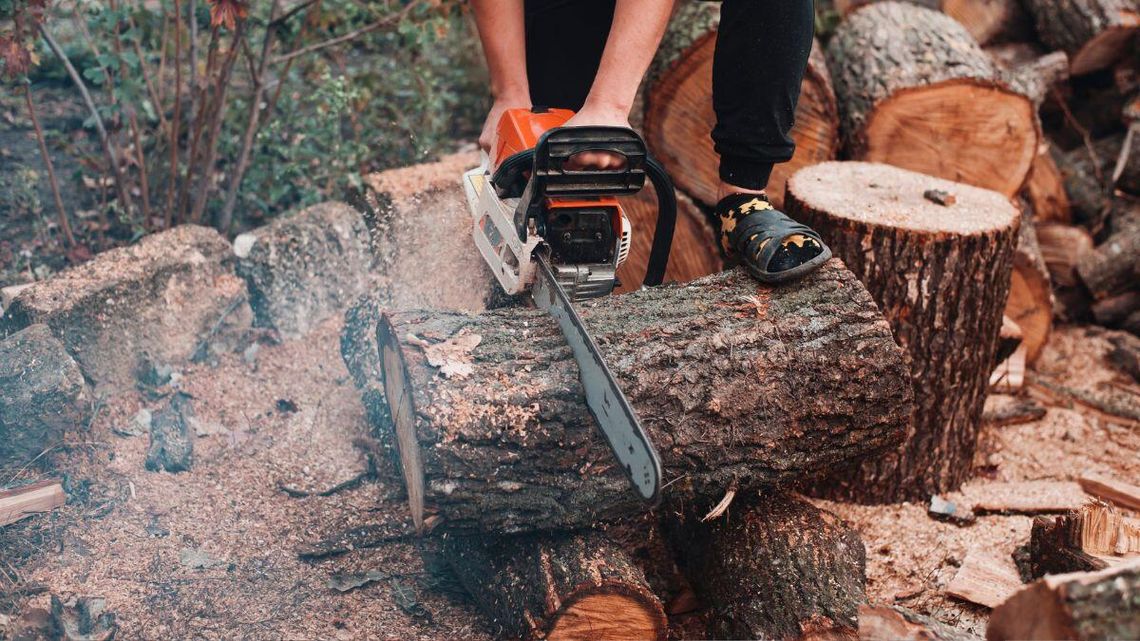 Co z wycinką drzew na swojej ziemi? Nagła zmiana planów