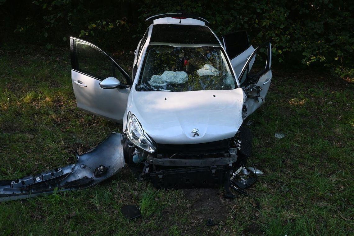 Wypadek na trasie Chełm-Hrubieszów. 80-latek zjechał na przeciwległy pas Wypadek na trasie Chełm-Hrubieszów. 80-latek zjechał na przeciwległy pas