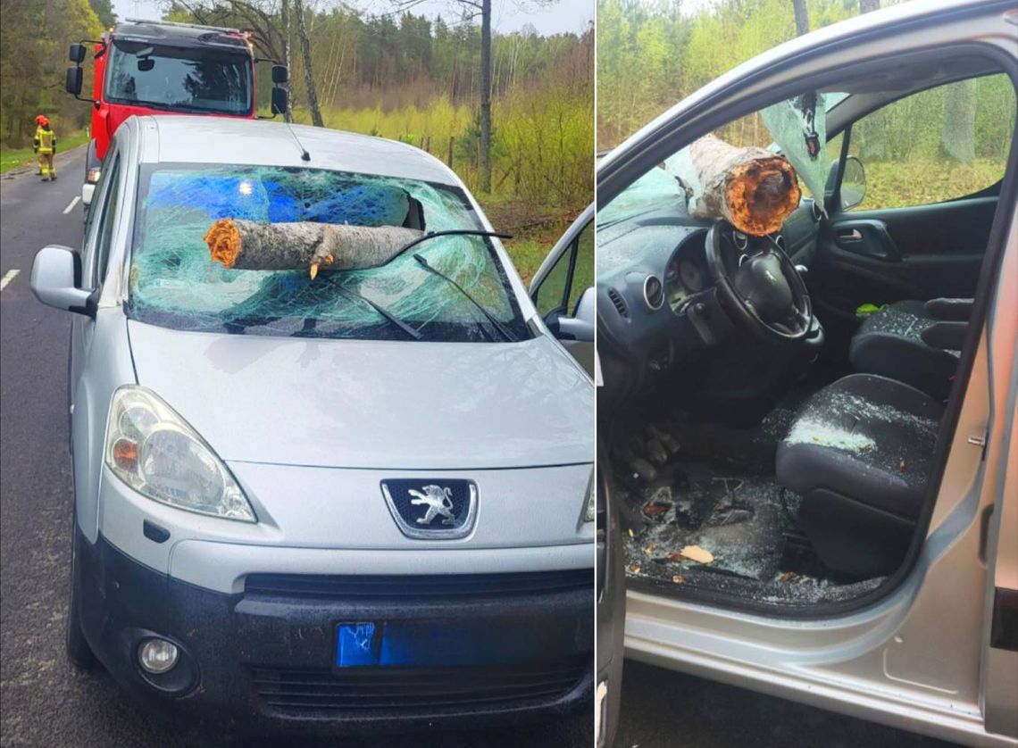 Wypadek w Adampolu. Konar przebił szybę i uderzył kierowcę w klatkę piersiową