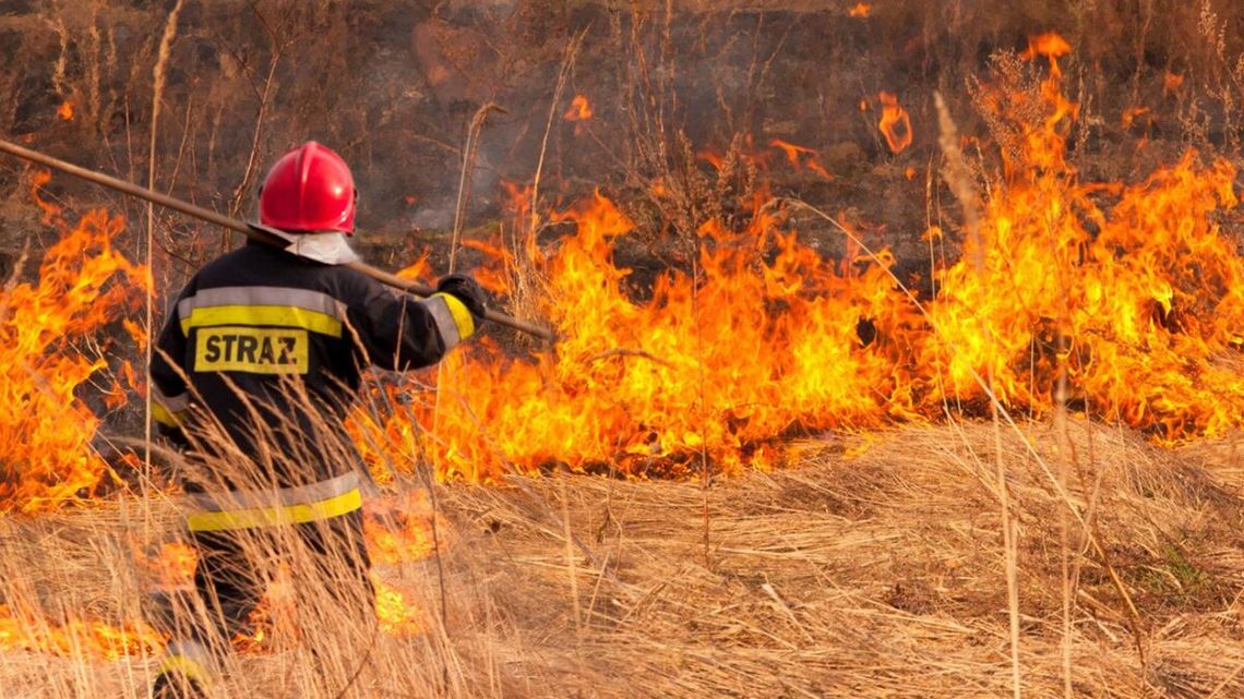 Zaczęło się wypalanie traw. Nie odstraszają nawet wysokie kary do 30 tys. złotych Zaczęło się wypalanie traw. Nie odstraszają nawet wysokie kary do 30 tys. złotych