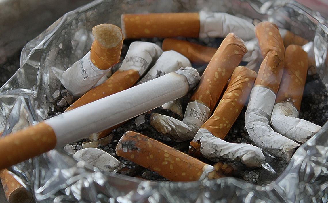 Zakaz sprzedaży papierosów z filtrem? Naukowcy się tego domagają