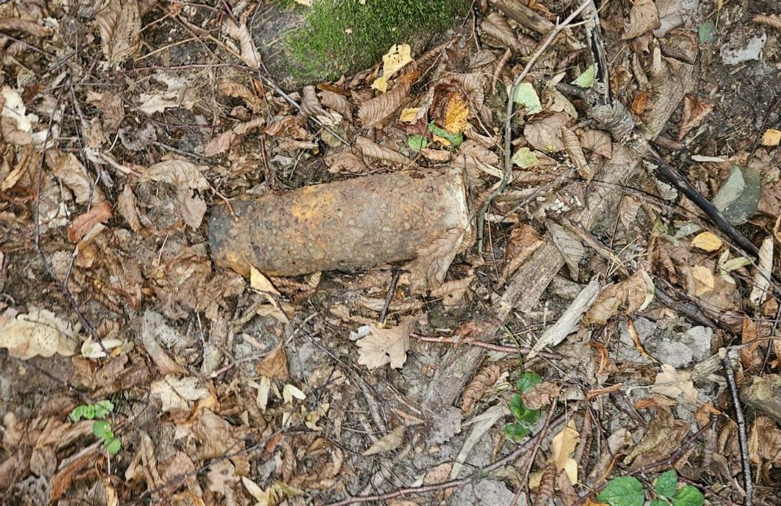 Zamiast prawdziwków – pocisk z wojny. Mieszkaniec Wojsławic miał nietypowe grzybobranie Zamiast prawdziwków – pocisk z wojny. Mieszkaniec Wojsławic miał nietypowe grzybobranie