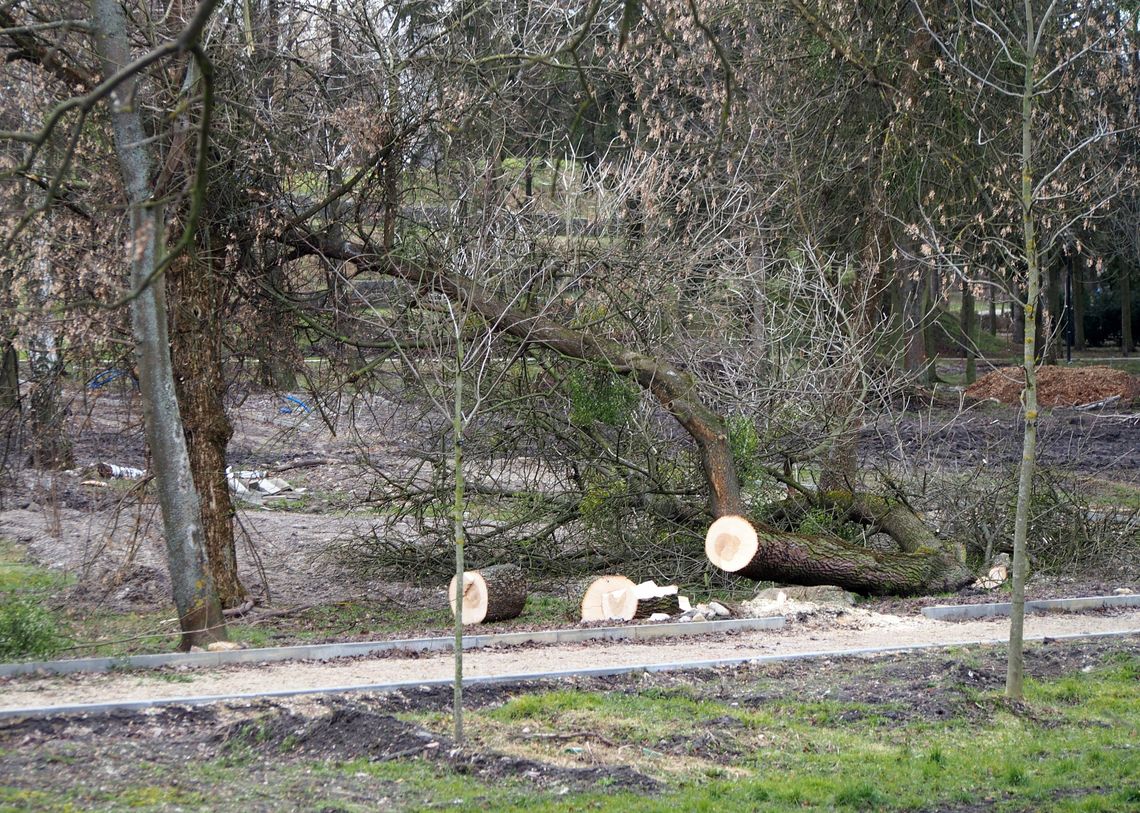 Chełm. Zamieszania z rewitalizacją Parku Miejskiego ciąg dalszy...