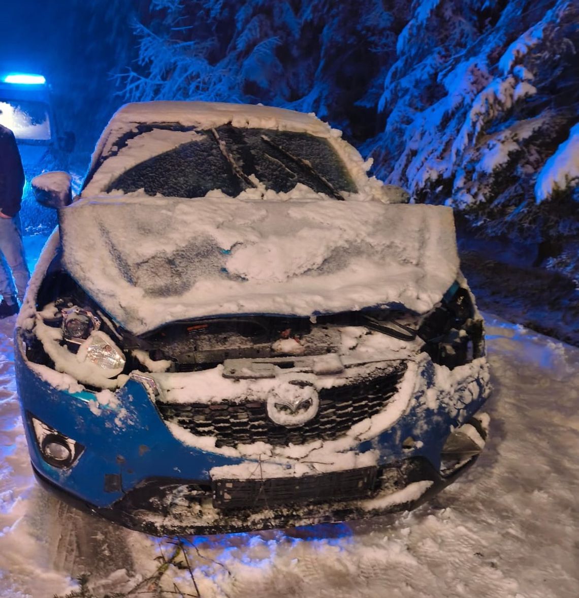 W nocy z soboty na niedzielę (22/23 listopada) w Zawadkach w gm. Susiec i w Rogóźnie gm. Tomaszów Lubelski na przejeżdżające drogami pojazdy przewróciły się drzewa.