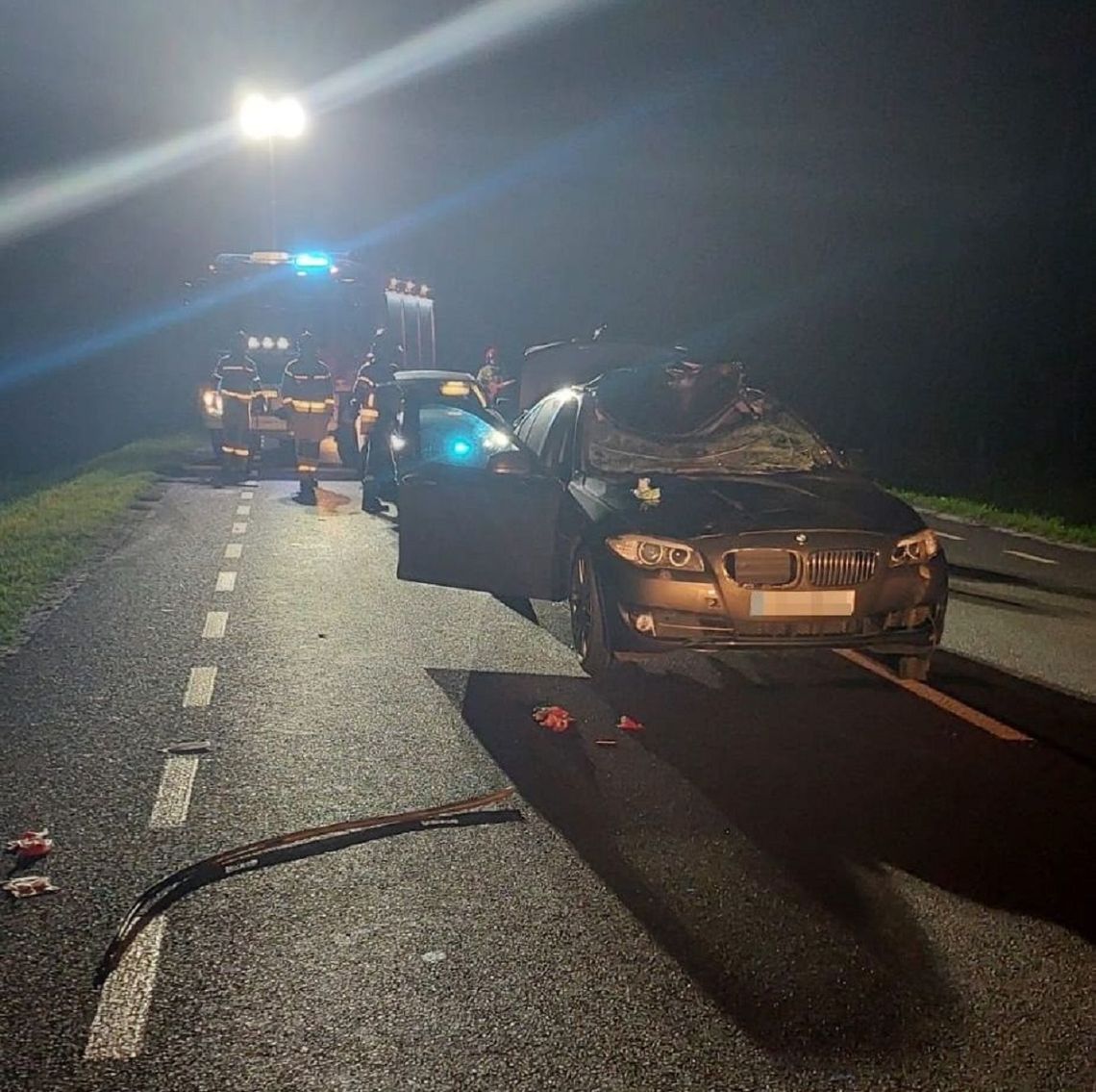 Zderzenie bmw z łosiem. Zwierzę nie przeżyło, kierowca i pasażerka w szpitalu