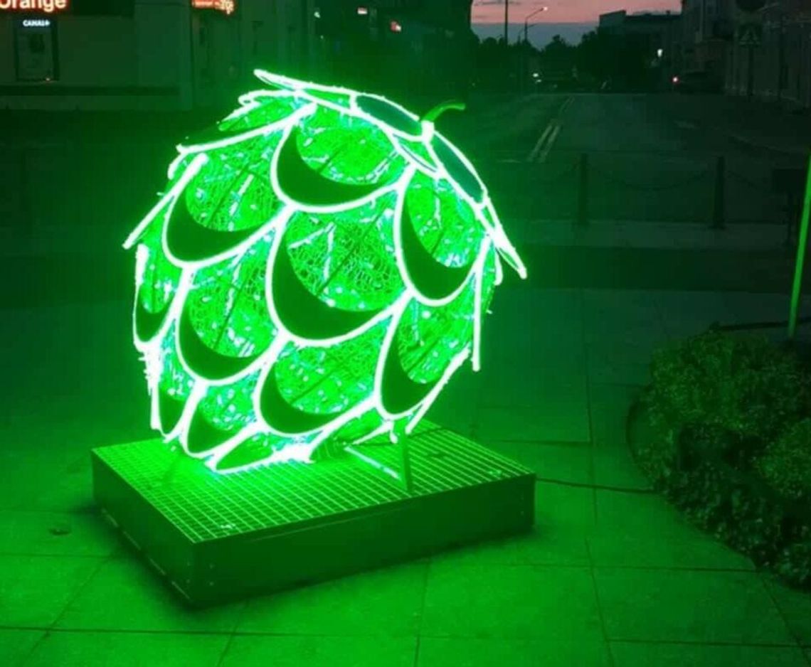 Zielona szyszka rozświetla Krasnystaw