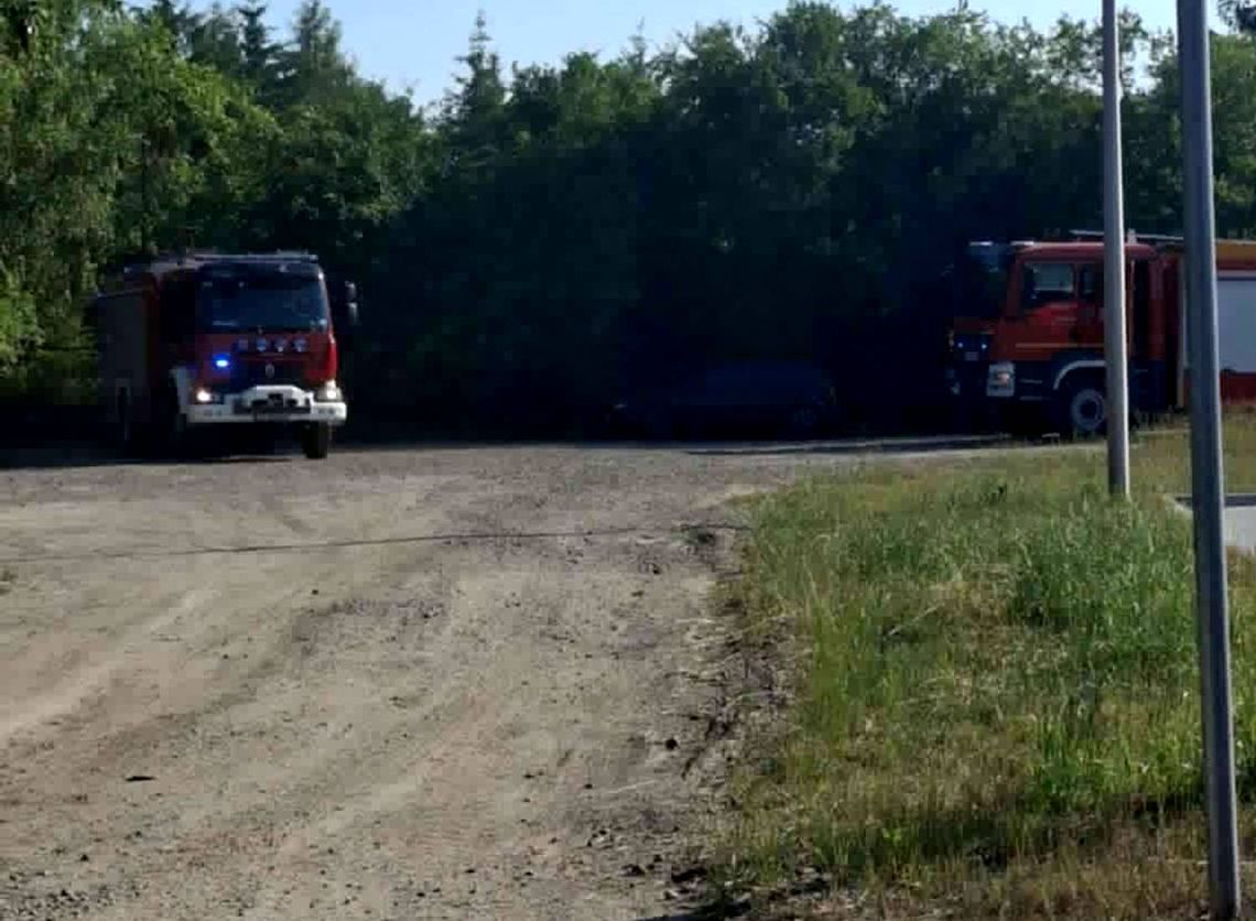 Znaleziono ciało 63-letniej kobiety na plaży na kąpielisku Glinianki w Chełmie. Trwają czynności pod nadzorem prokuratora