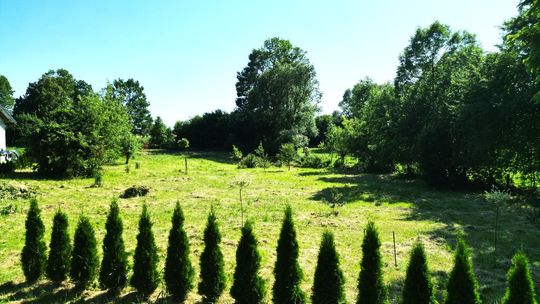 2700 m² — Działka na sprzedaż — Spokojna okolica