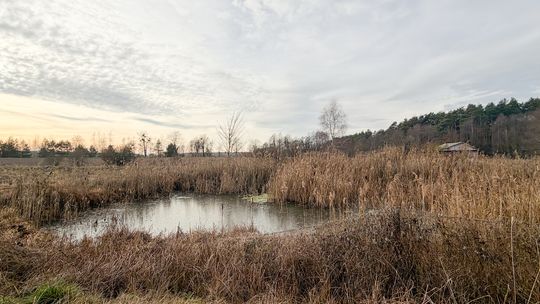 Działka rolna 0,84 ha Turka, gmina Dorohusk