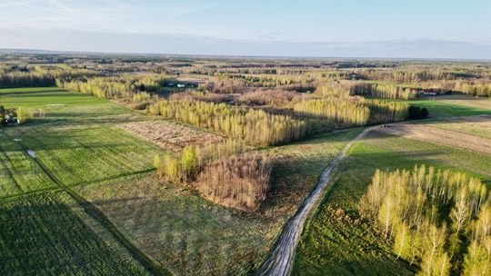 Działka rolni-budowlana 2,95h Żalin, gm. Ruda-Huta