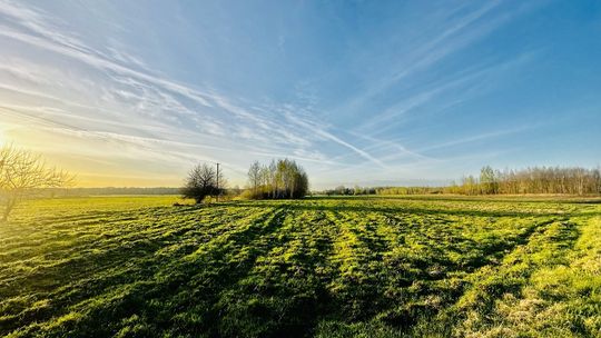 Działka rolno-budowlana 1,32ha w miejsciwisci Żali