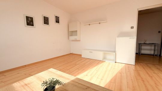 Mieszkanie w centrum- niski czynsz!