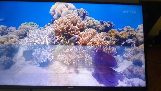 Serwis RTV - Naprawa TV z LCD, Oled, Qled, Radio code