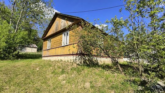 Siedlisko na sprzedaż – 22 ar, Majdan k. Wojsławic Siedlisko na sprzedaż – 22 ar, Majdan k. Wojsławic