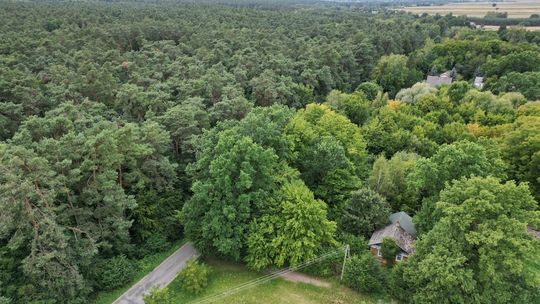 Siedlisko w otulinie drzew, bez sąsiadów- Stójło Siedlisko w otulinie drzew, bez sąsiadów- Stójło