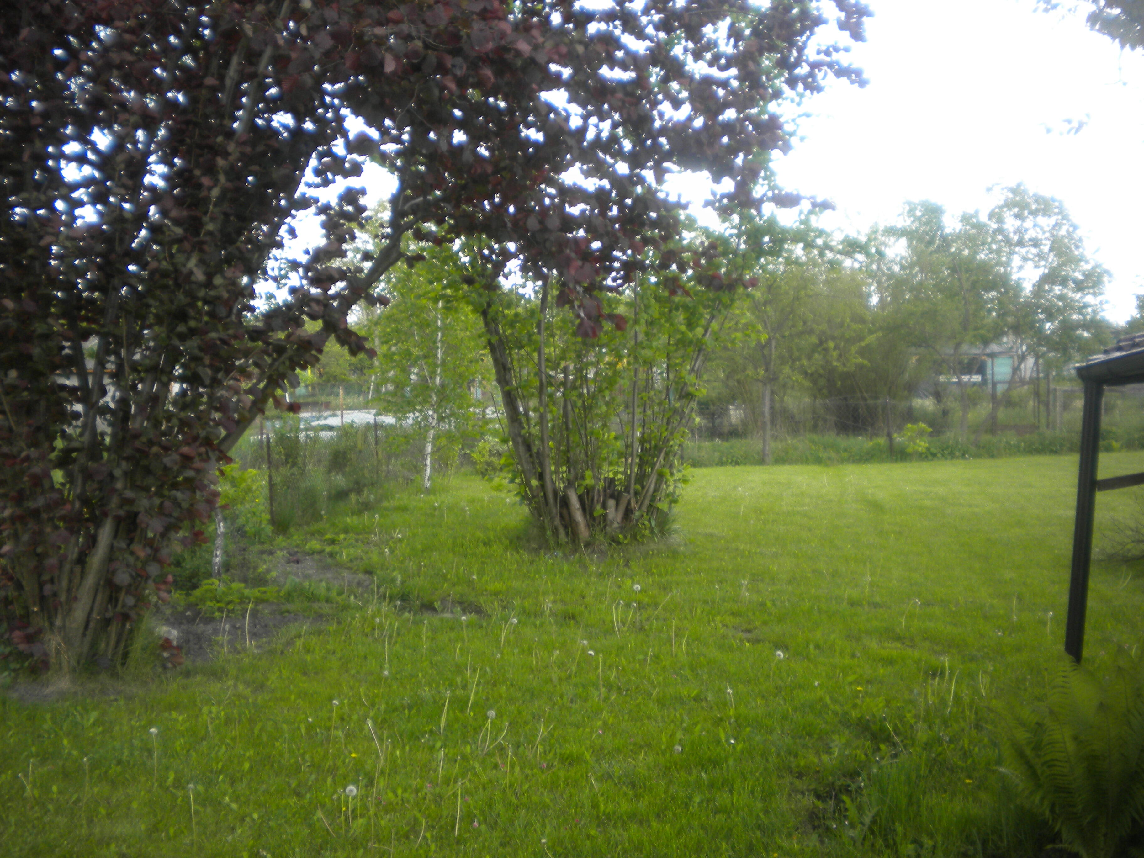 sprzedam dzałki ROD