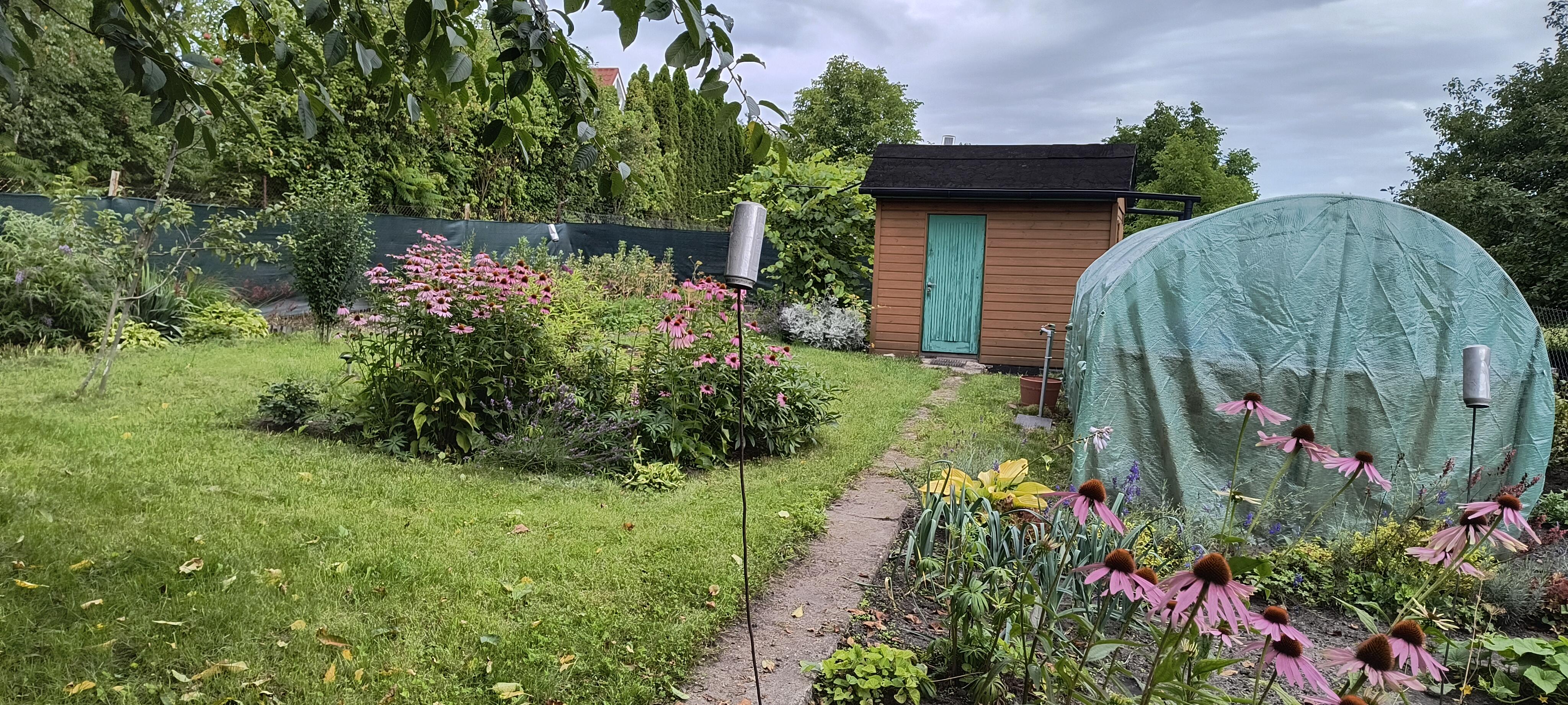 Sprzedam ogródek działkowy