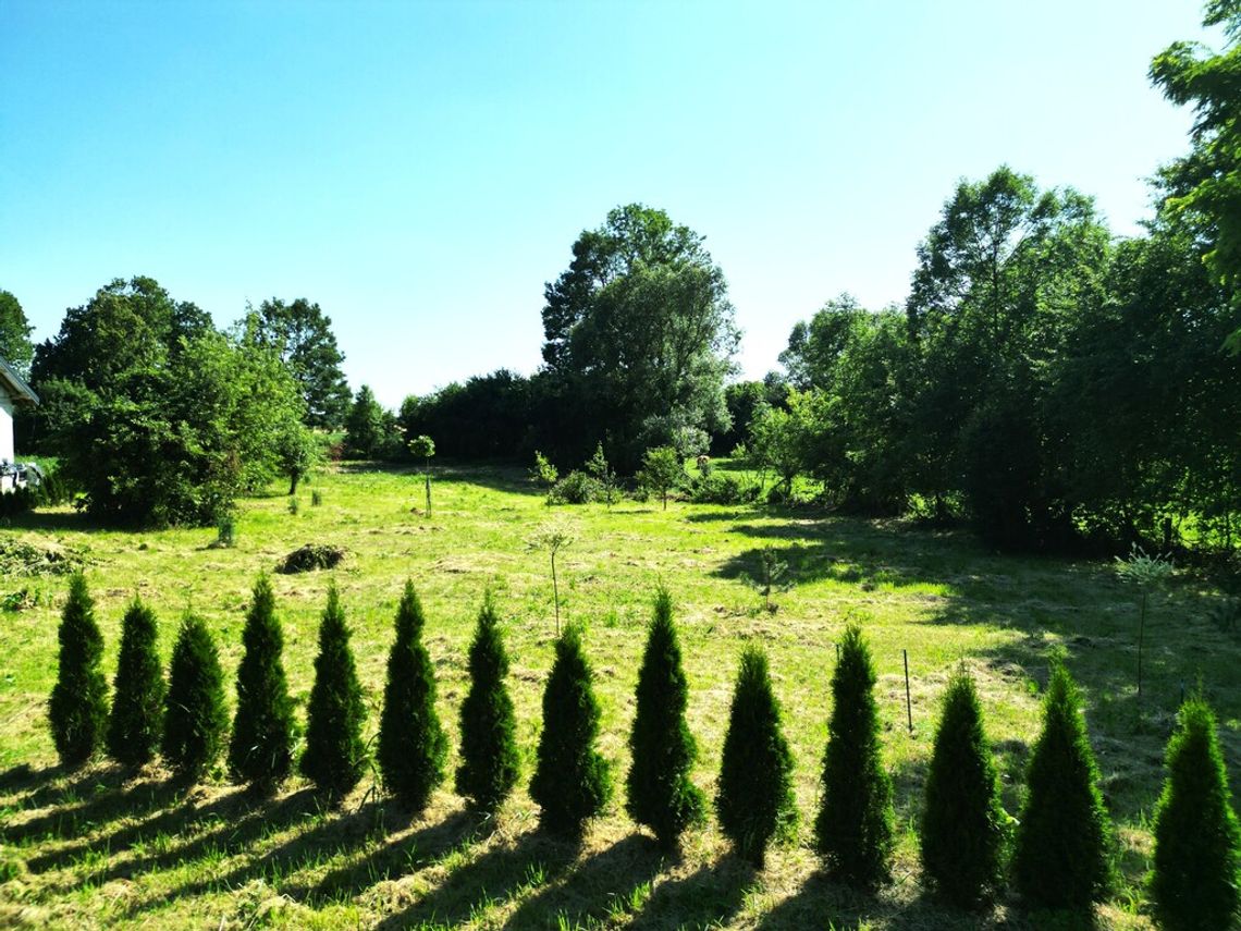 2700 m² — Działka na sprzedaż — Spokojna okolica