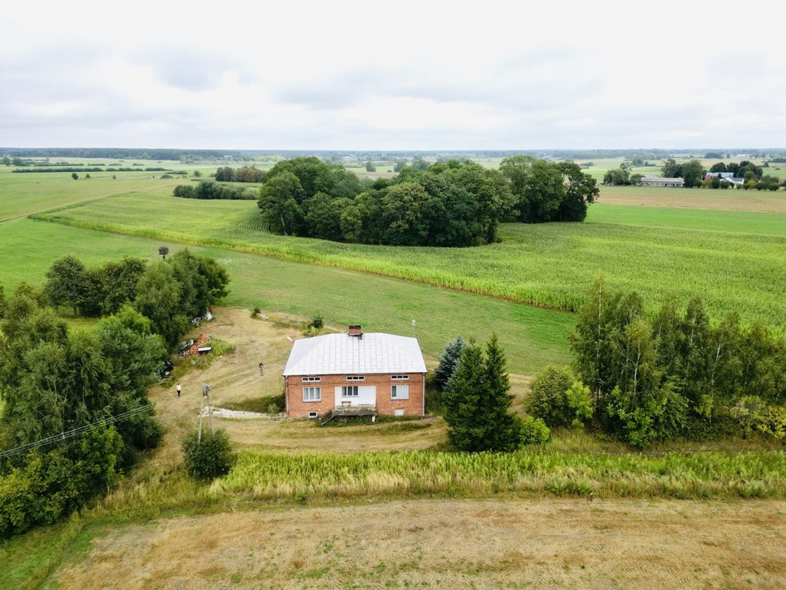 Dom w Nowy Holeszów z działką 40000m2