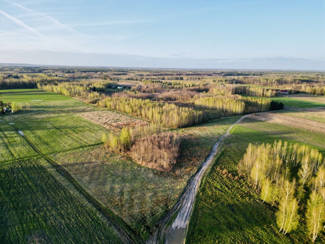 Działka rolni-budowlana 2,95h Żalin, gm. Ruda-Huta