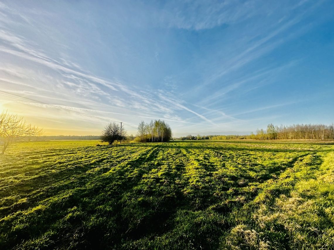 Działka rolno-budowlana 1,32ha w miejsciwisci Żali