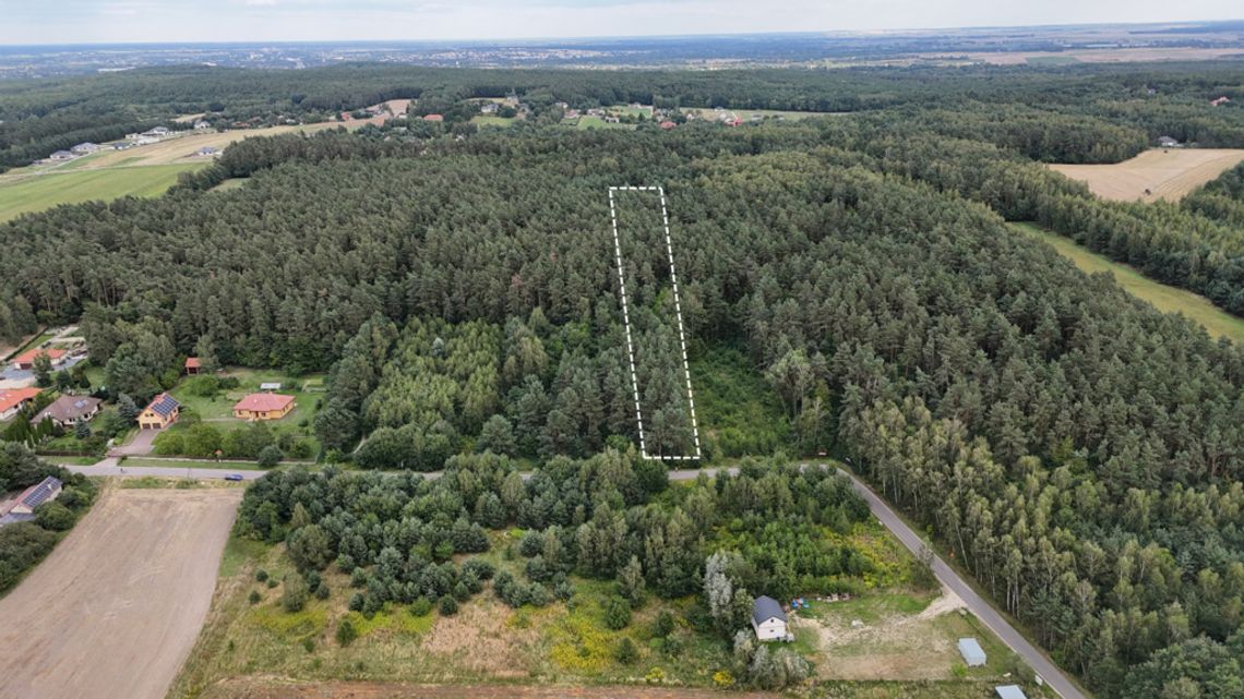 Działka w Janowie 4700m2 leśna