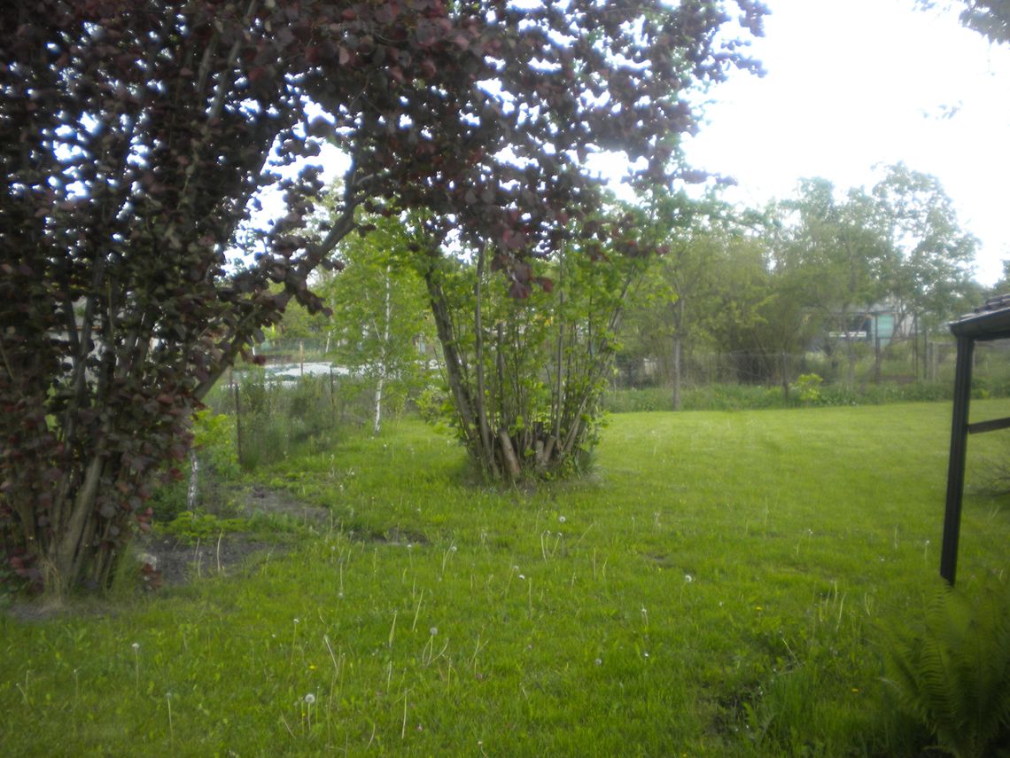 sprzedam dzałki ROD