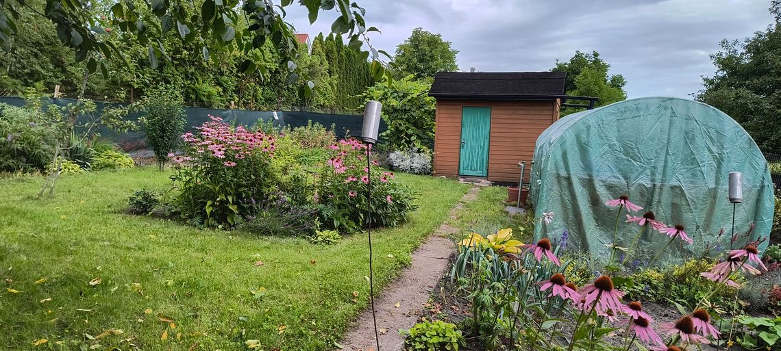 Sprzedam ogródek działkowy