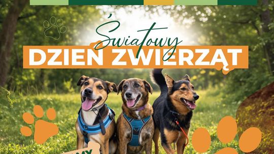 Światowy Dzień Zwierząt 2026 odbędzie się 27 września w godzinach 12:00–16:00 w Parku Miejskim im. Unii Europejskiej przy al. Armii Krajowej w Chełmie.