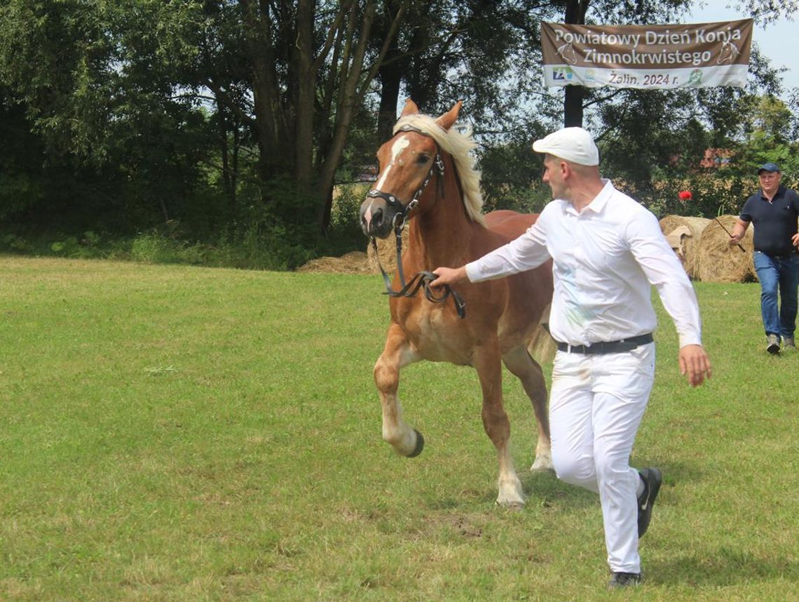Gm. Ruda-Huta. Żalin zaprasza na święto hodowców i miłośników koni Gm. Ruda-Huta. Żalin zaprasza na święto hodowców i miłośników koni