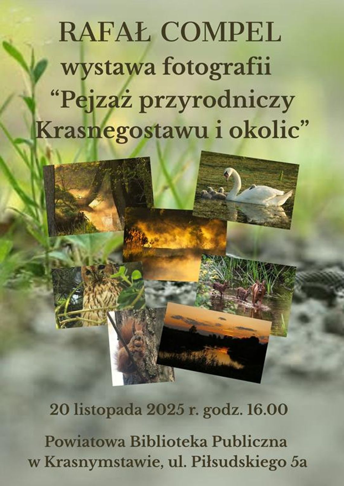 Odbędzie się wernisaż wystawy pt. „Pejzaż przyrodniczy Krasnegostawu i okolic”