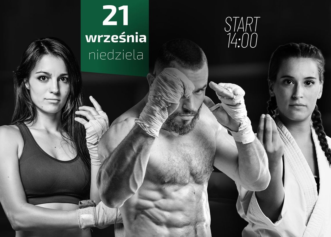 Pokazy sportów walki w Chełmie