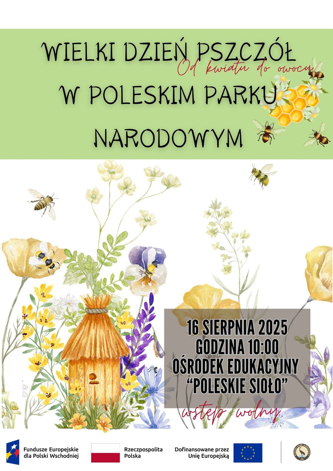 Poleski Park Narodowy organizuje edukacyjne zajęcia o roli pszczół