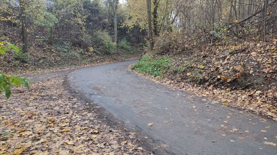 Zarządcy drogi testują cierpliwość mieszkańców ul. Bieleszy