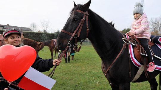 Święto niepodległości w Leśniowicach