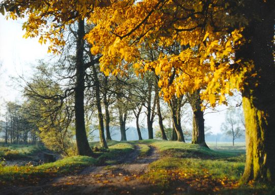 Siennica Różana. Fotografie w kolorze jesieni nagrodzone